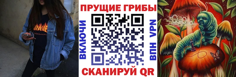 kraken ONION цены наркотик Беслан Псилоцибиновые грибы прущие грибы